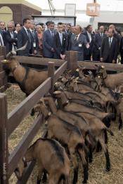 Image du Maroc Professionnelle de  SAR le Prince Héritier Moulay El Hassan préside l'ouverture de la 13e édition du Salon international de l'agriculture au Maroc à Meknès, le 24 Avril 2018. (Photo/ SPPR) via Jalilbounhar.com

 